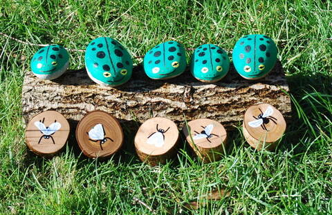 Frogs and lfies on a log