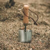 manual override of the alt attribute