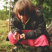 manual override of the alt attribute