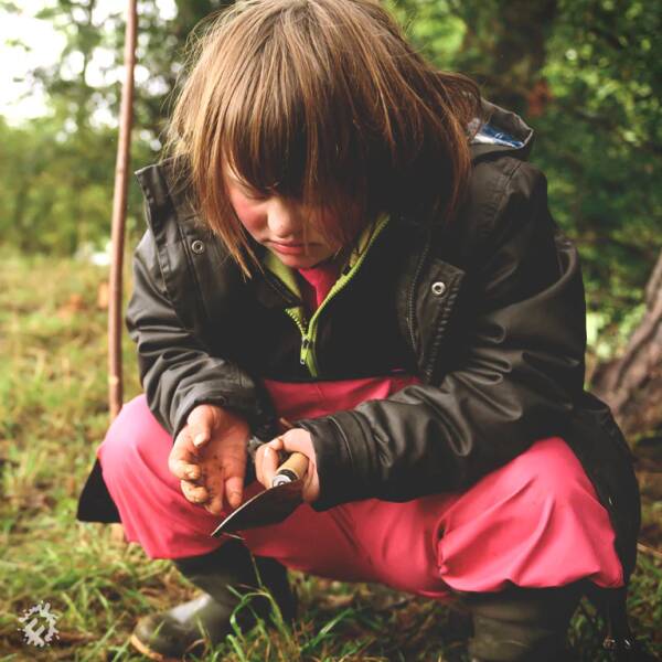 manual override of the alt attribute