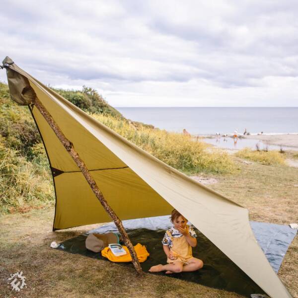 manual override of the alt attribute