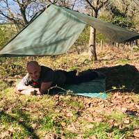 manual override of the alt attribute