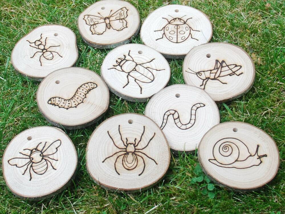 Minibeasts crop