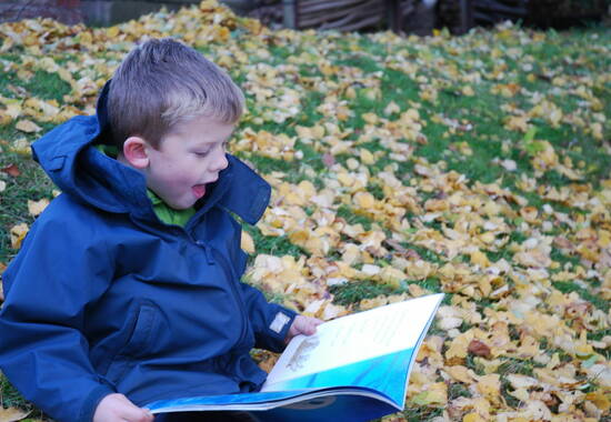 manual override of the alt attribute