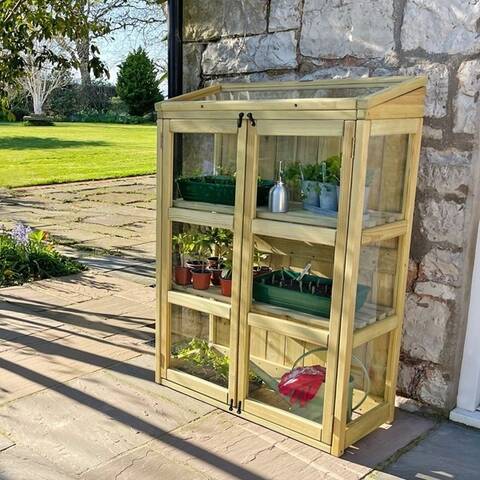 Compact Botanical Greenhouse