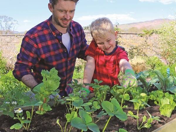 ZST04 Veg Bed 1m 600x600