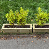 manual override of the alt attribute