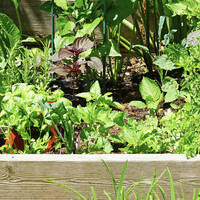 manual override of the alt attribute