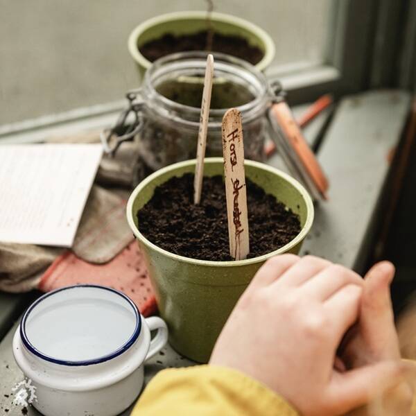 manual override of the alt attribute