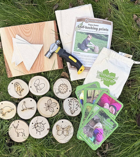 Woodland Activity Kit
