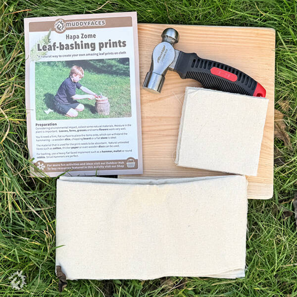 manual override of the alt attribute