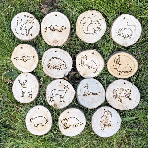 Woodland Animals Set