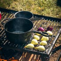 manual override of the alt attribute