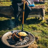 manual override of the alt attribute