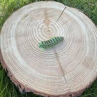 manual override of the alt attribute