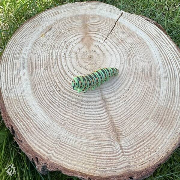 manual override of the alt attribute