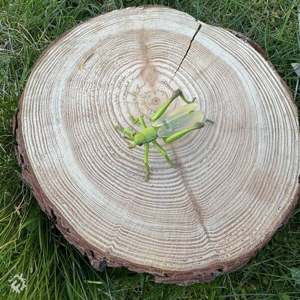 manual override of the alt attribute