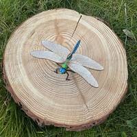 manual override of the alt attribute