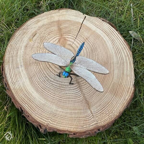 manual override of the alt attribute