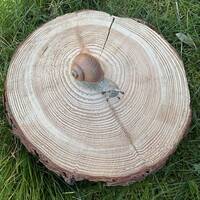 manual override of the alt attribute