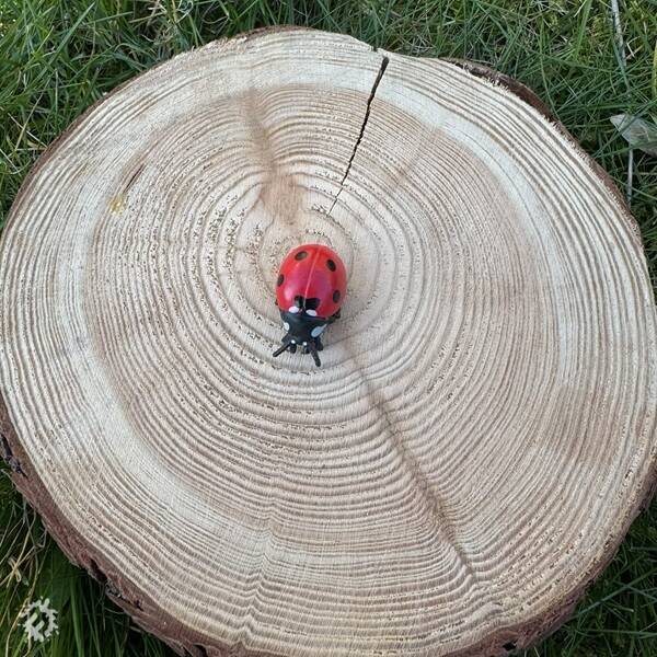 manual override of the alt attribute