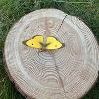 manual override of the alt attribute