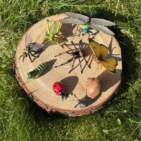 Minibeast Figures Set