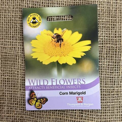 Corn Marigold Seeds