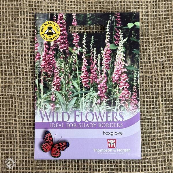 manual override of the alt attribute