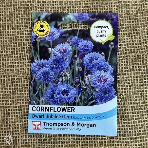 manual override of the alt attribute