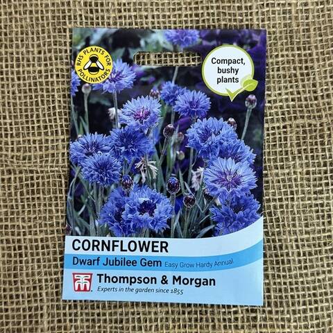 Cornflower Seeds