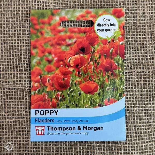 manual override of the alt attribute