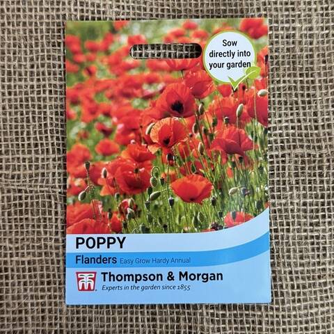 Wild Poppy Seeds