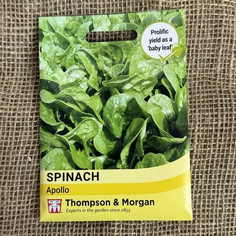 Spinach Seeds