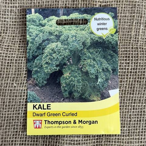 Kale Seeds
