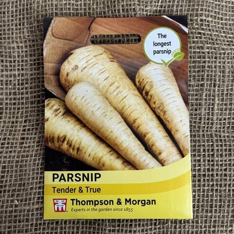 Parsnip Seeds