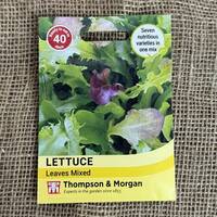 manual override of the alt attribute