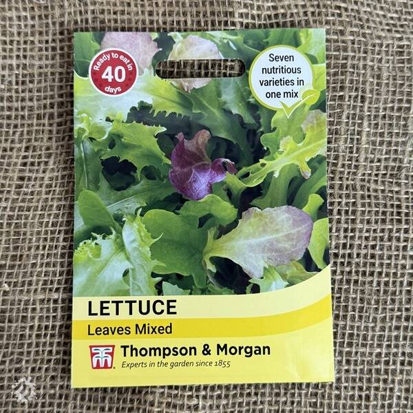 manual override of the alt attribute