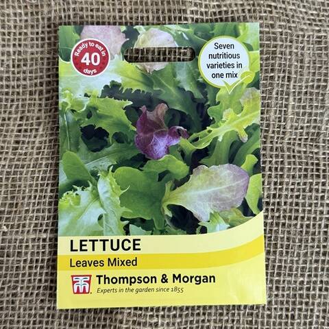 Salad Leaves Mixed Seeds