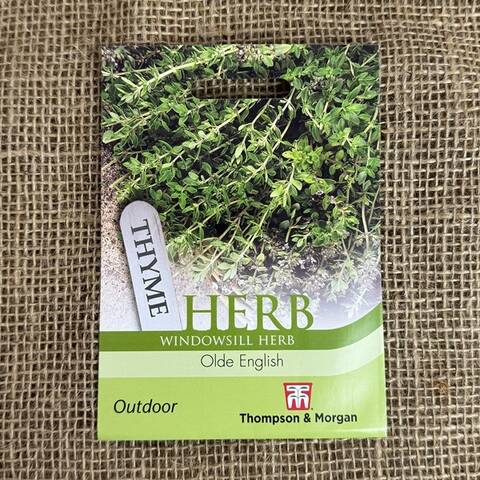 Thyme Seeds