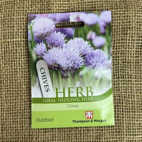 Chive Seeds