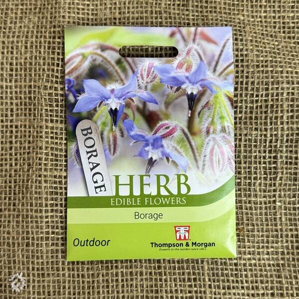 manual override of the alt attribute