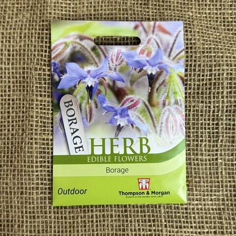 Borage Seeds