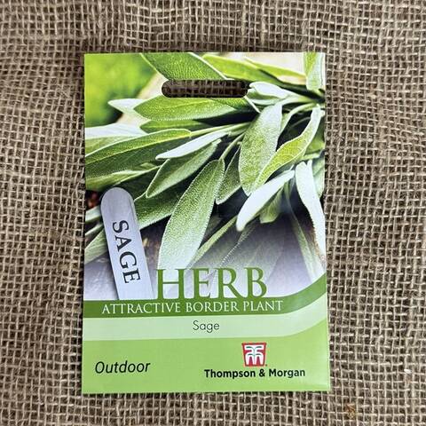 Sage Seeds