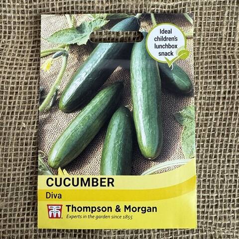 Cucumber Seeds