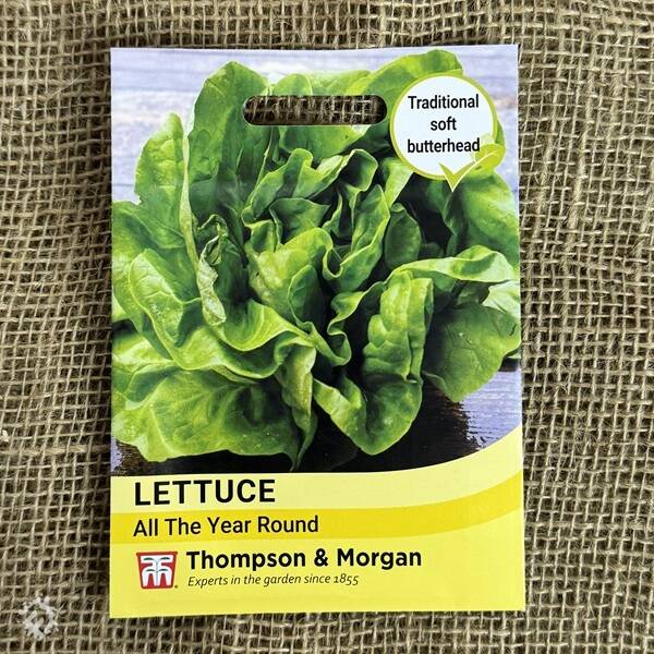 manual override of the alt attribute