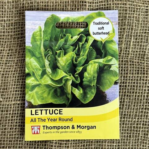 Lettuce Seeds