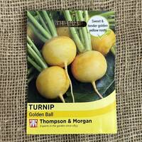 manual override of the alt attribute