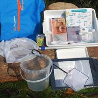 manual override of the alt attribute