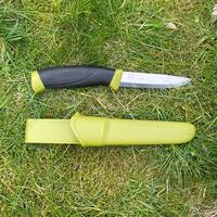 manual override of the alt attribute